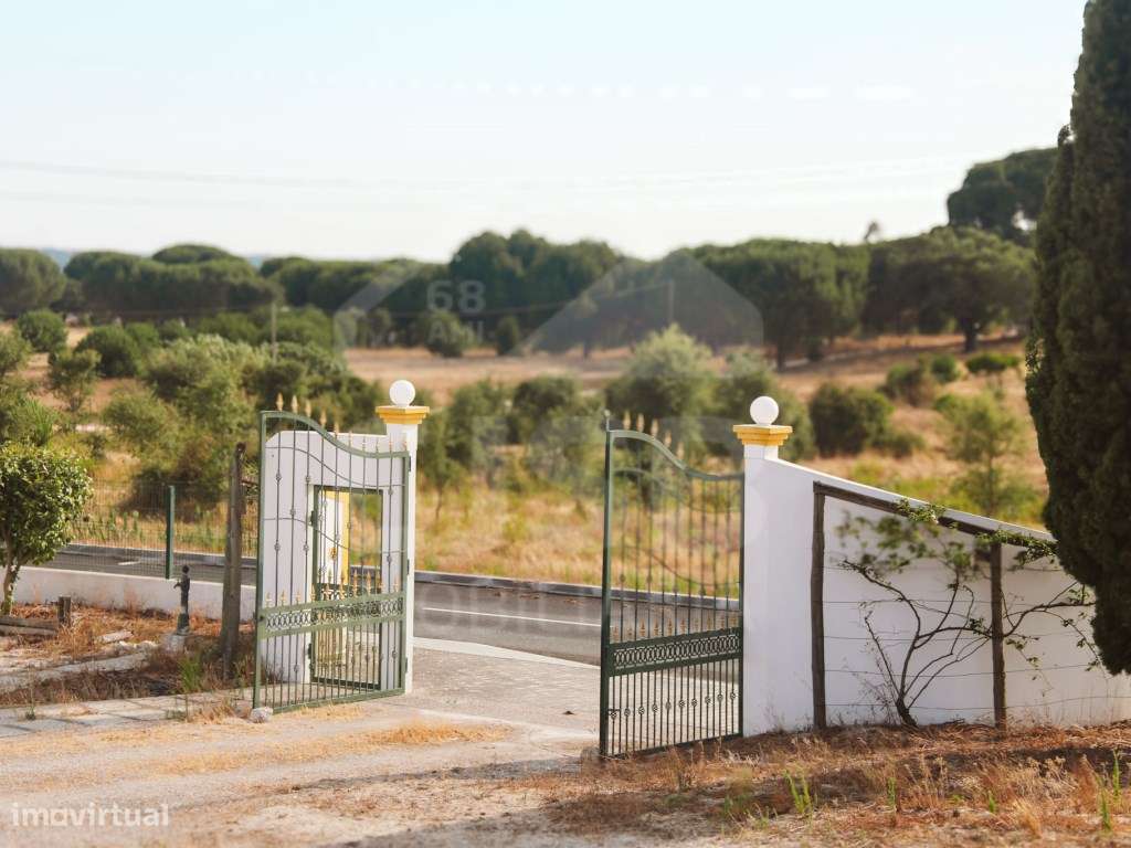 Quinta T5 na Branca-53