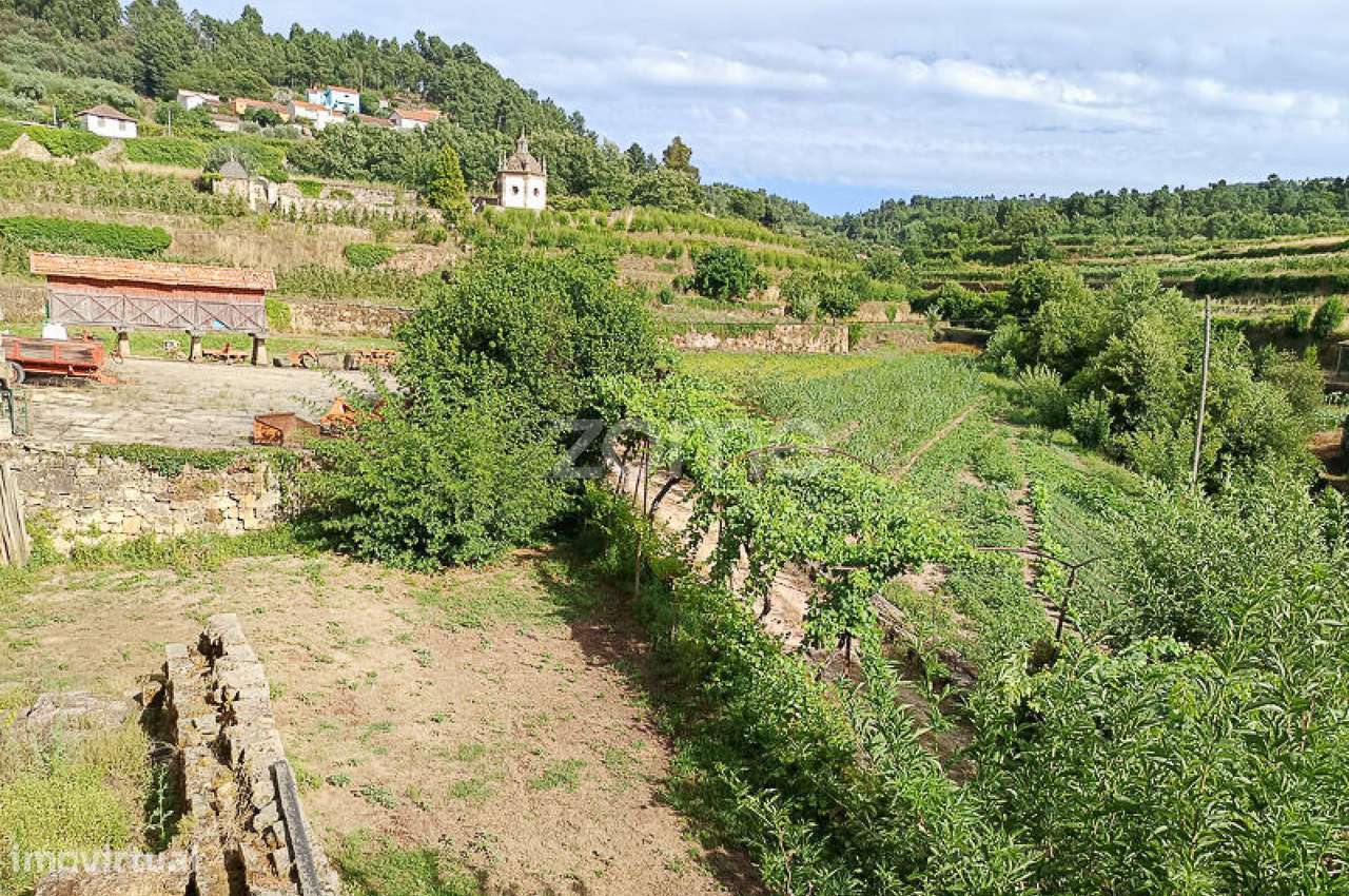 Quinta do Mosteiro de Salzedas com mais 17 ha e património histórico-15