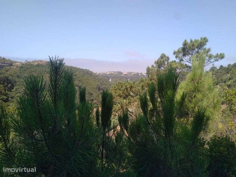 Terreno Rústico com 2.875 m² em Alto Famoes, Mafra. - Grande imagem: 4/7