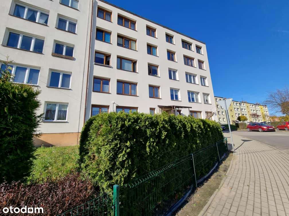 | 3 pokoje | Dla osób ceniących spokój i zieleń po pracy | - Pełny obrazek: 4/11