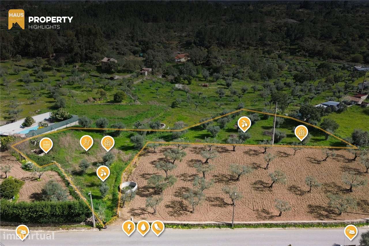 Terreno 2.680m² | Poço e Olival | Palvarinho, Castelo Branco - Grande imagem: 4/20