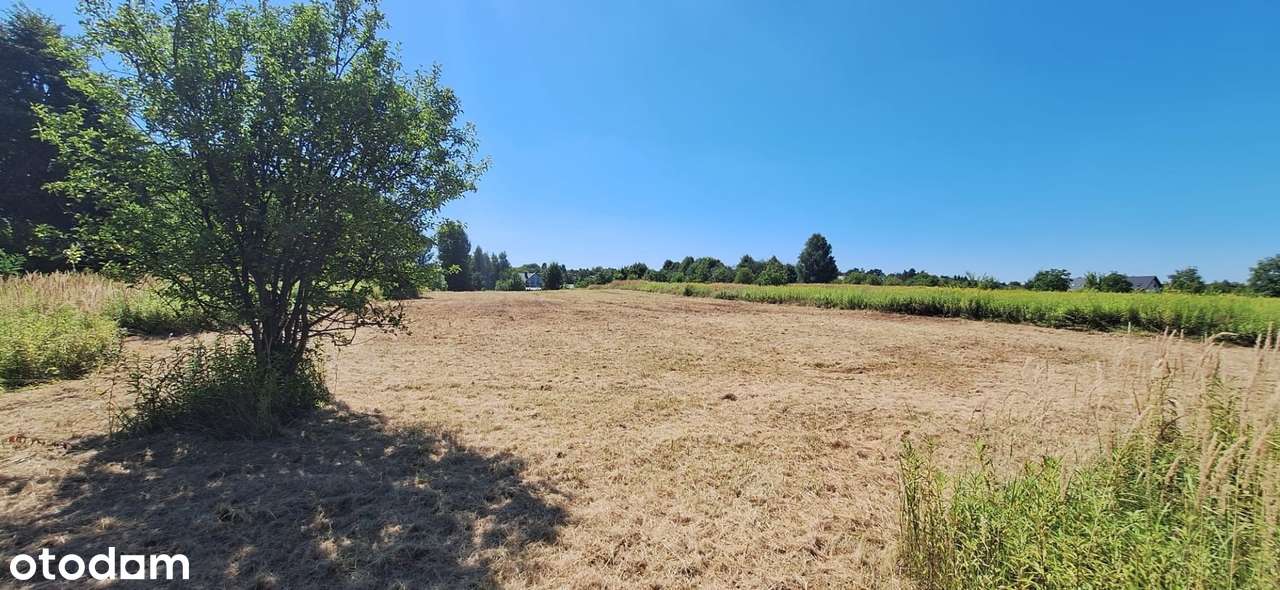 Działka na sprzedaż, Bobrowniki - Pełny obrazek: 4/6