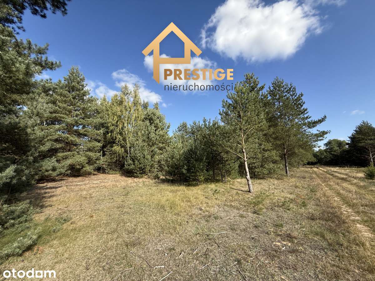 Działki budowlane Rosocha-Kolonia-4