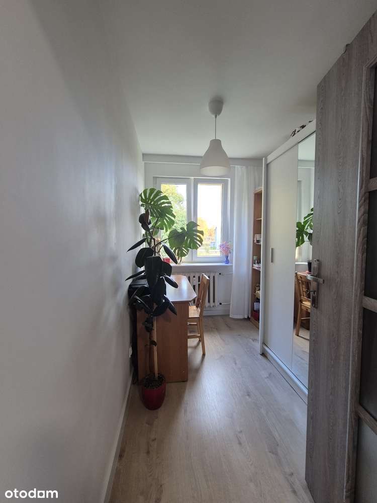 Umeblowane 2-pok. po remoncie + Balkon // 0 %-5