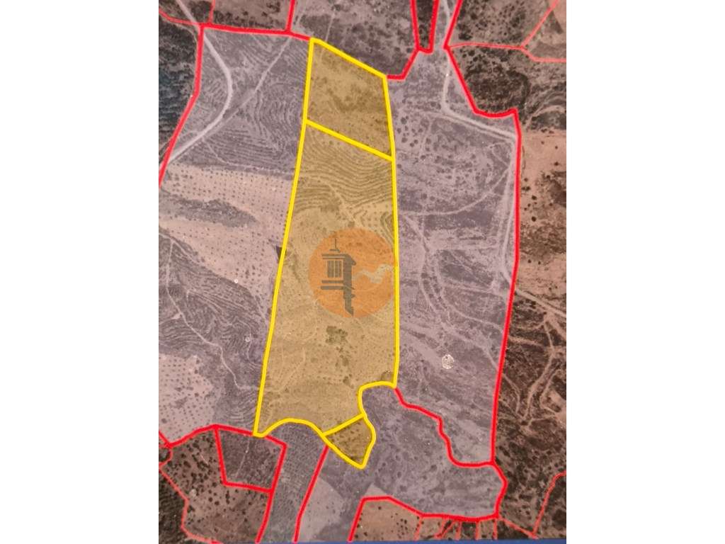 TERRENO COM 145.360 M2 - COM LAGO - POSSIBILIDADE DE CONSTRUÇÃO - T... - Grande imagem: 2/60