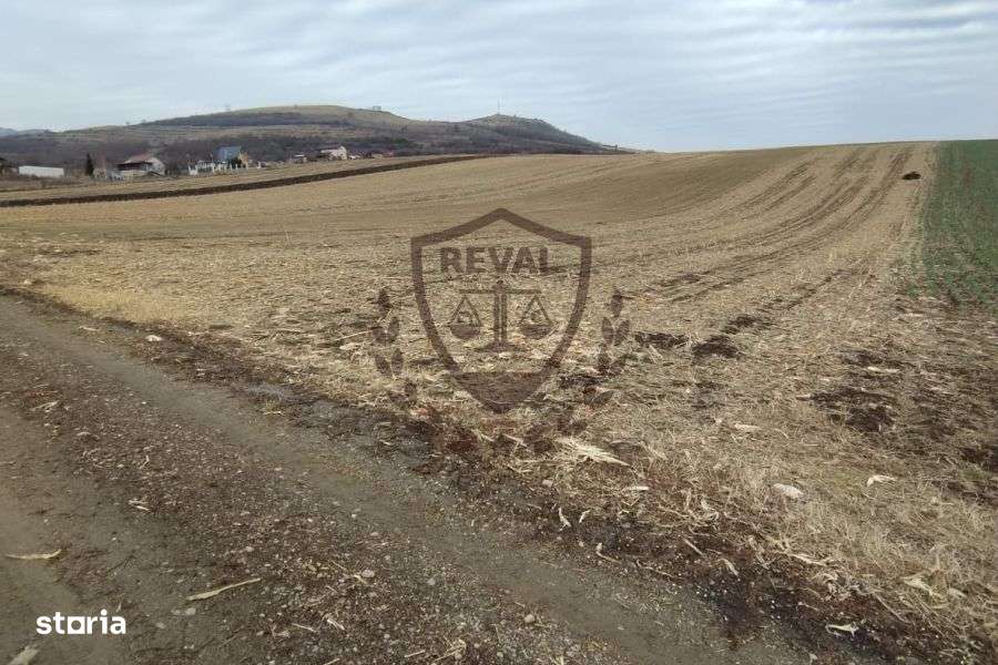 Teren intravilan generos în Ighiu, ideal pentru investiții, 2.900 mp. - Imagine principală: 3/6