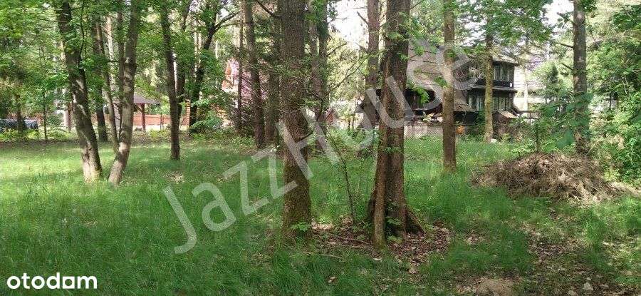 ogrodzona działka Puste Łąki - Pełny obrazek: 4/6