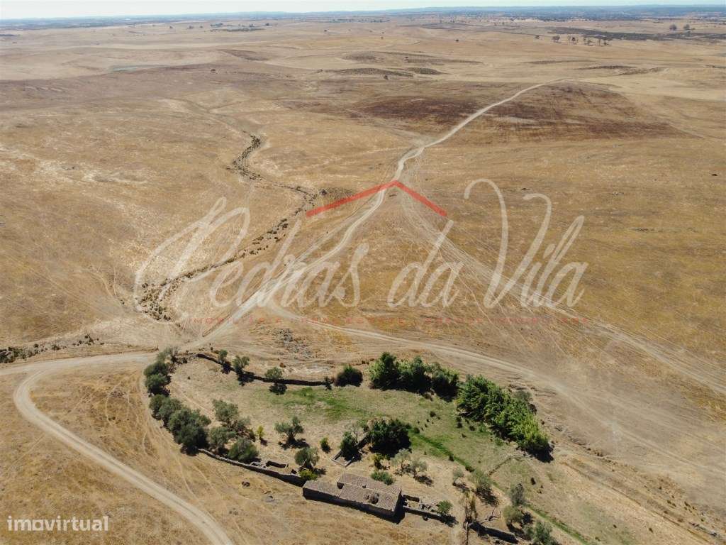 Propriédade de 119ha com varias ruinas - Castro Verde-20