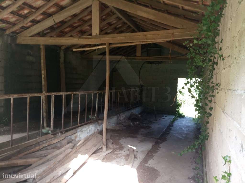 Terreno para exploração agrícola em Lanheses - Grande imagem: 4/8