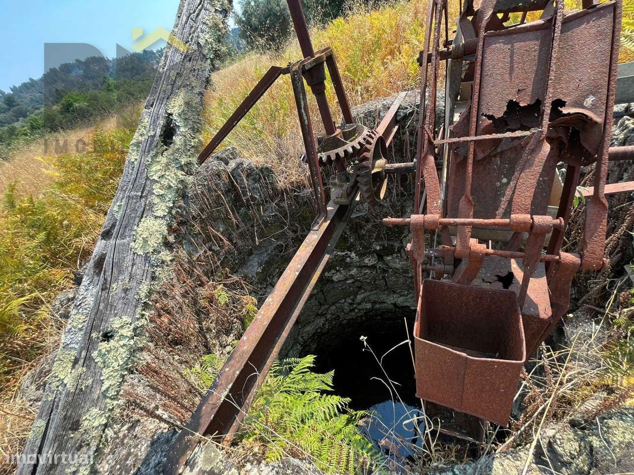 Terreno Rústico  Venda em Salgueiro do Campo,Castelo Branco - Grande imagem: 4/11