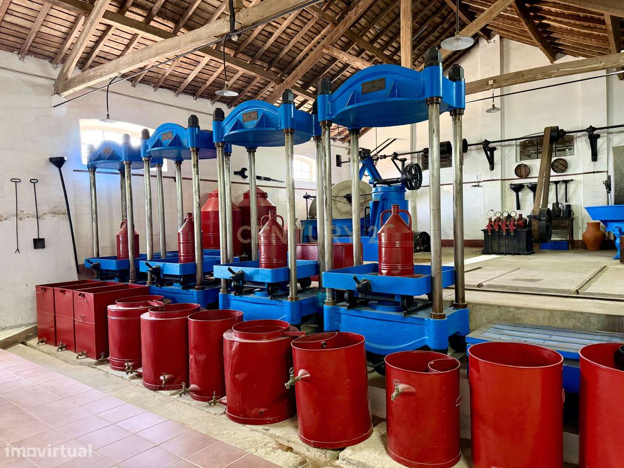 Herdade de Pandeira, Vinha e Olival em Produção em Reguengos de Monsar-16