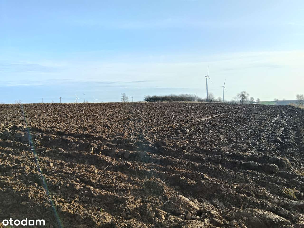 Duża działka rolna - Sonina - Pełny obrazek: 4/4