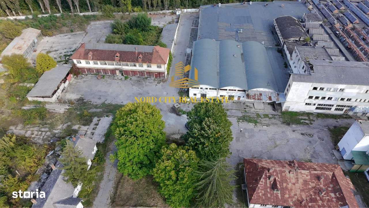Platforma Industriala-8 ha -Fabrica-Hale Productie-21.500 mp-4