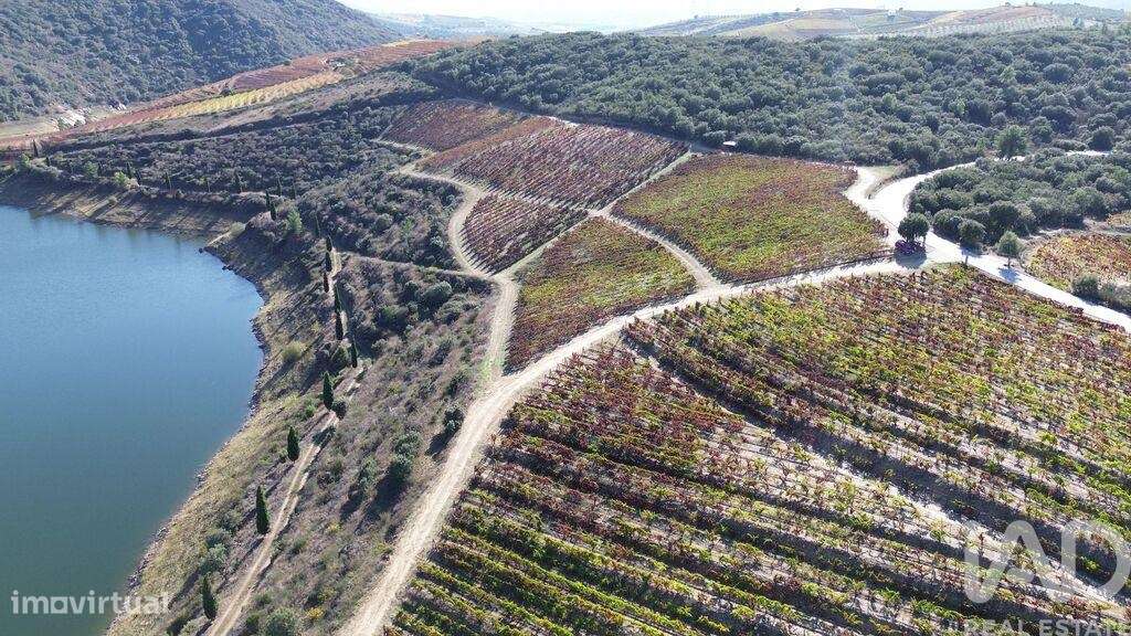 Quinta em Horta de 584006,00 m2 - Grande imagem: 4/28