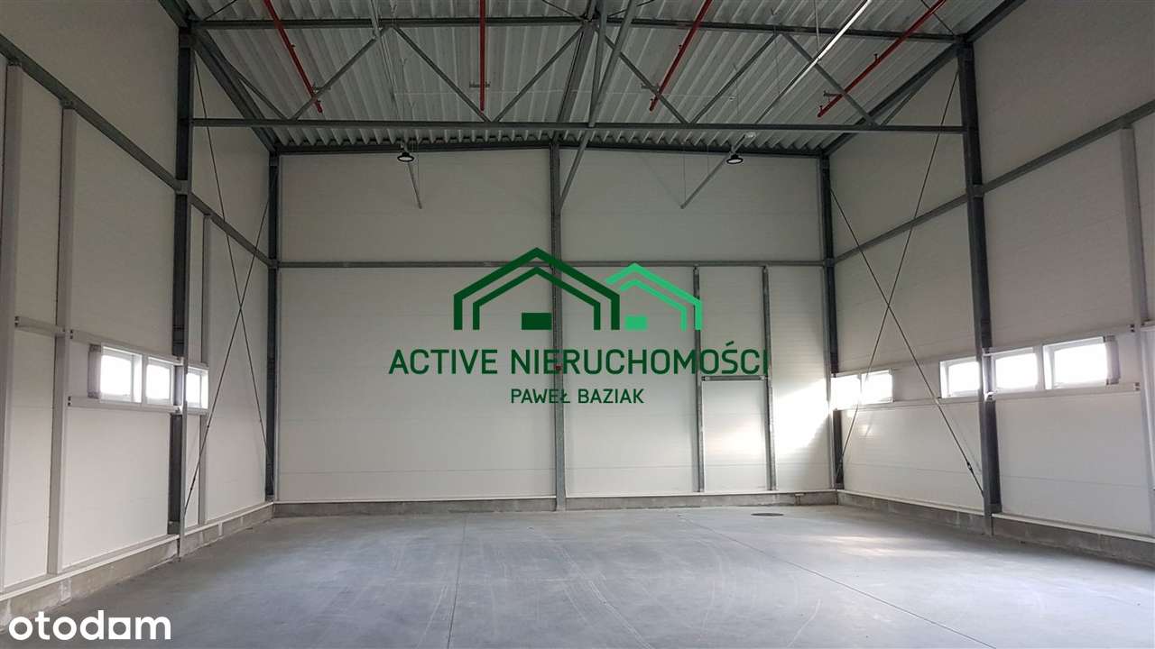Hala, magazyn, 1950m2, Niepołomice - Pełny obrazek: 5/8