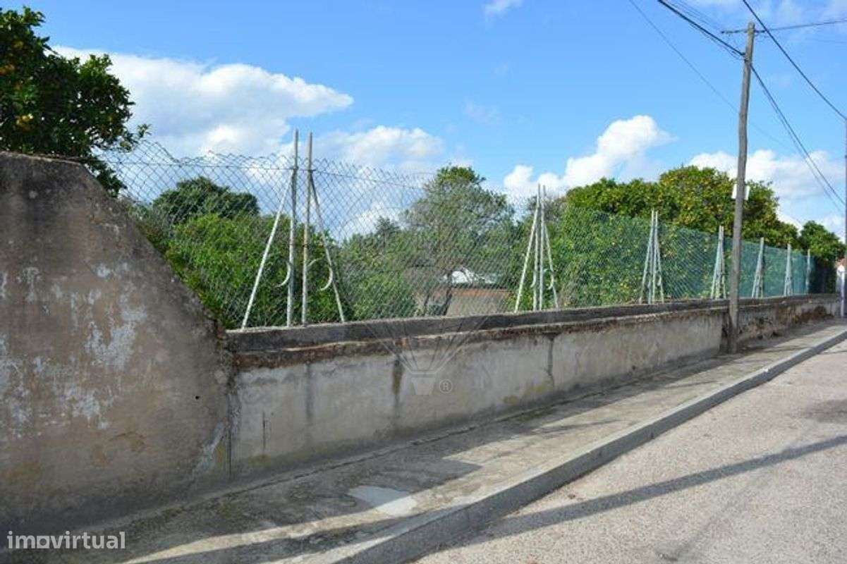 Terreno  para venda-6