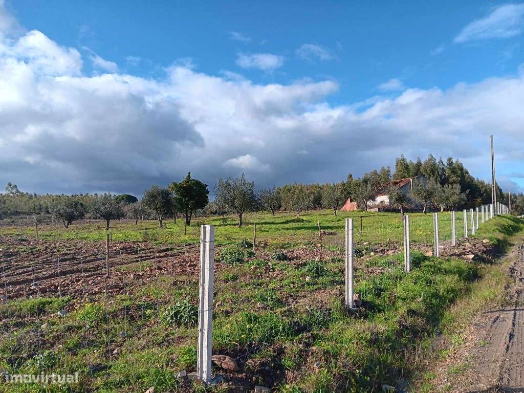 TERRENO COM 37.040 M2 E VIABILIDADE DE CONSTRUÇÃO, PENHASCOSO DE MAÇÃO - Grande imagem: 2/22