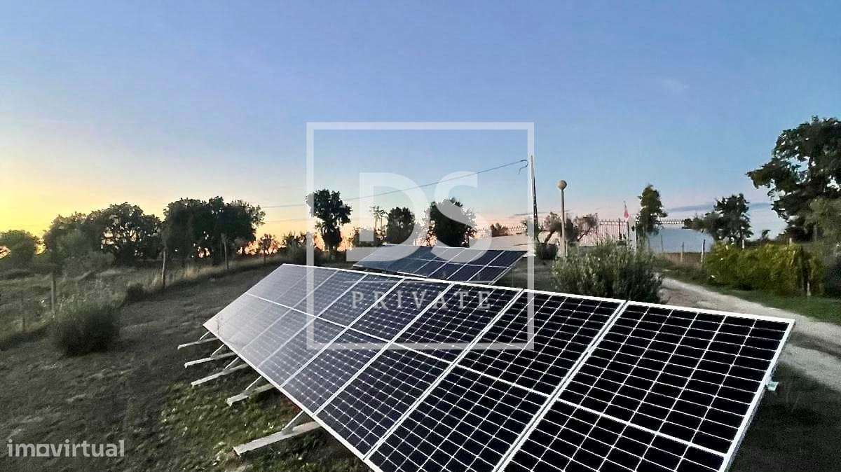 Propriedade Típica Alentejano / AL - Grande imagem: 5/24