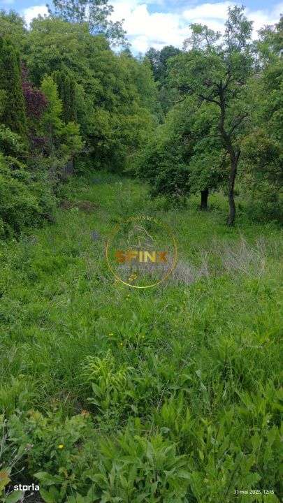 Teren intravilan cu deschidere la parau in Breaza – Strada Primaveri - Imagine principală: 3/11