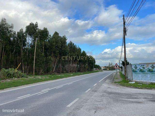 Terreno de 8520 m2 sito na Baixa da Atalaia - Alcochete - Grande imagem: 4/6