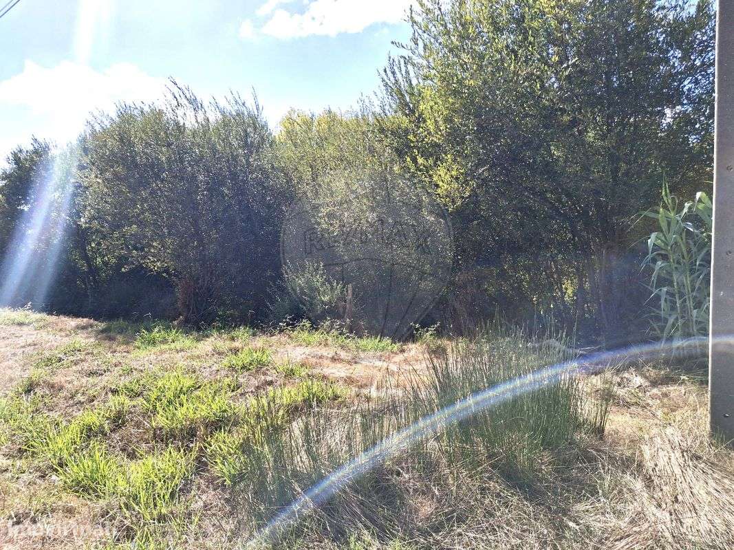 Terreno  para venda - Grande imagem: 4/6