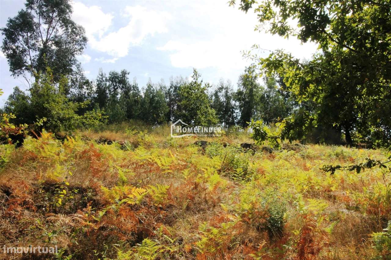 Moradia para Recuperar com Amplo Terreno e Potencial Infinito em Frian-26