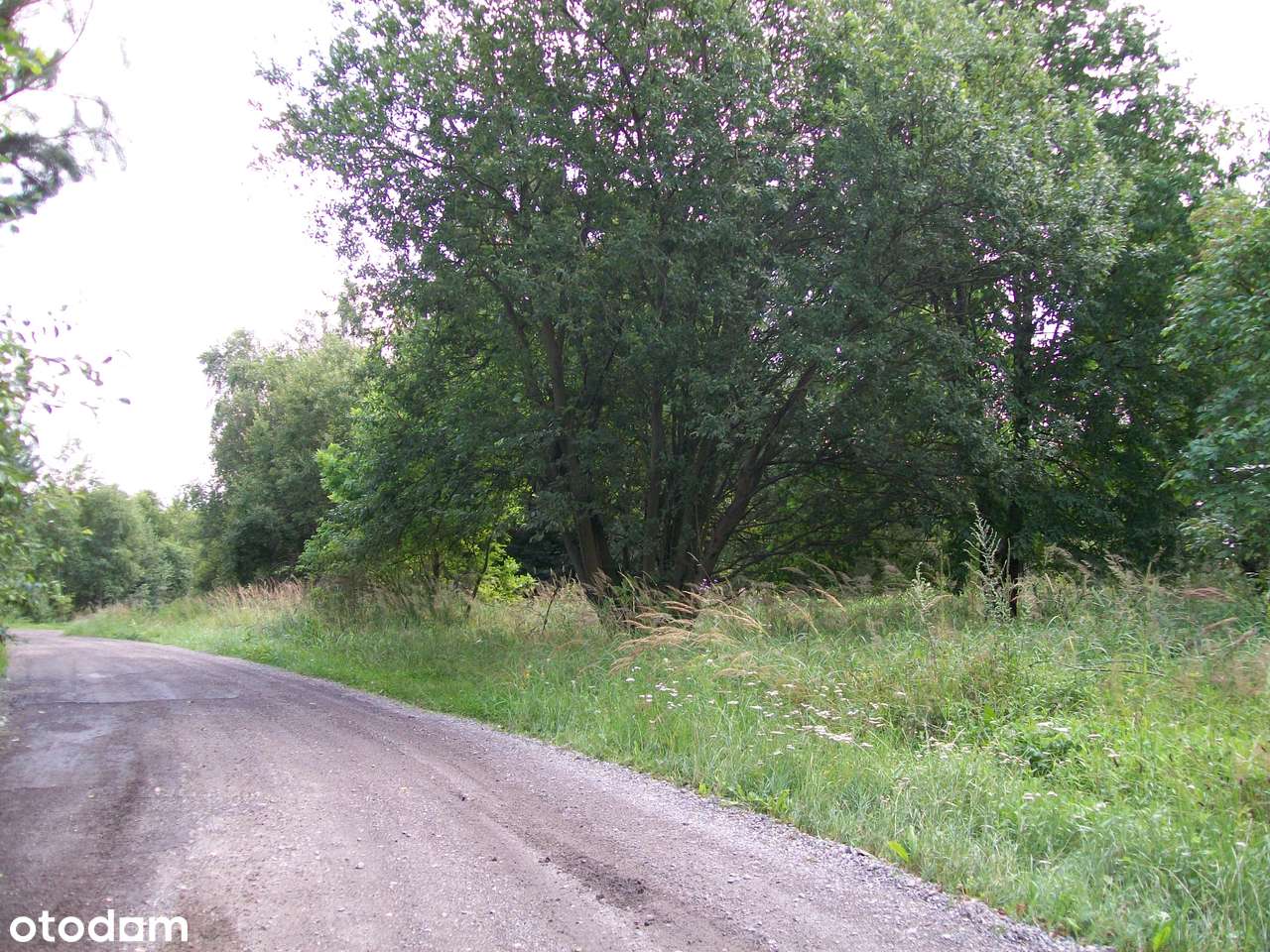 Grodzisko 2050 mkw ,1040 mkw-0