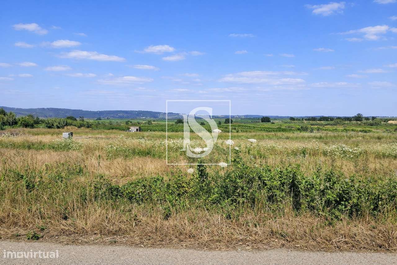 Terreno Para Construção  Venda em Alqueidão,Figueira da Foz-22