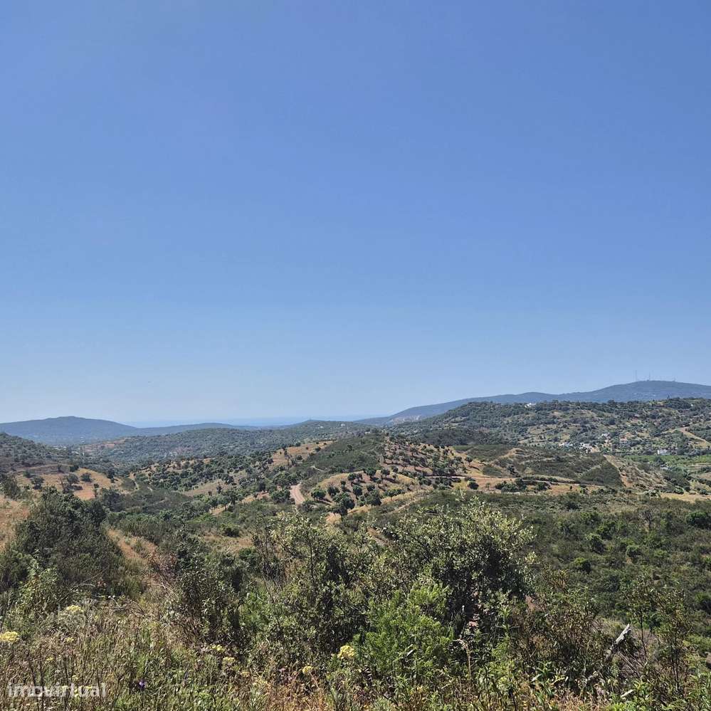 Terreno Rústico no Bengado - Grande imagem: 5/13