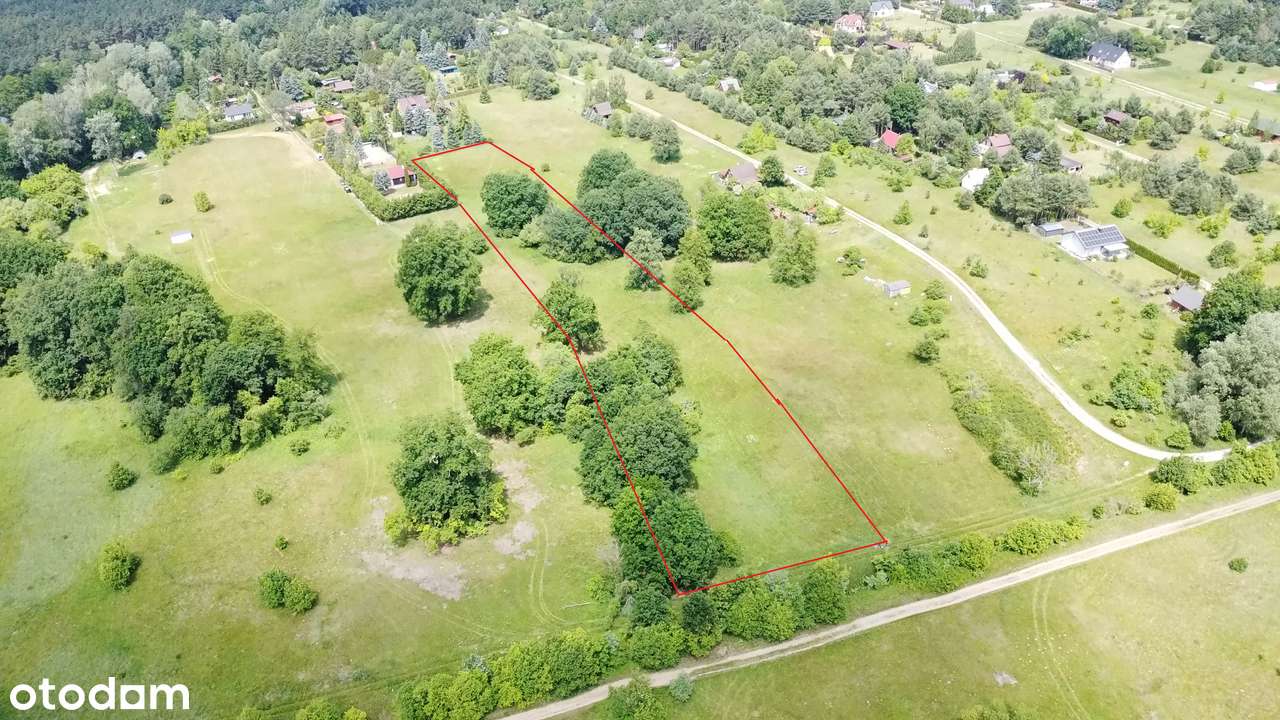 Kępa Kikolska/Gmina Wieliszew - Pełny obrazek: 4/5