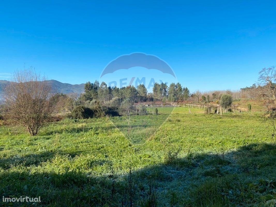 Terreno  para venda