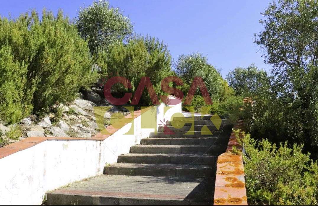 Lote de Terreno T4 Venda em Constância,Constância-13