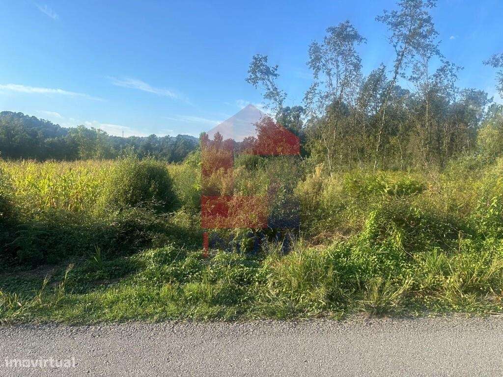 Terreno Agrícola, Turiz - Grande imagem: 4/20