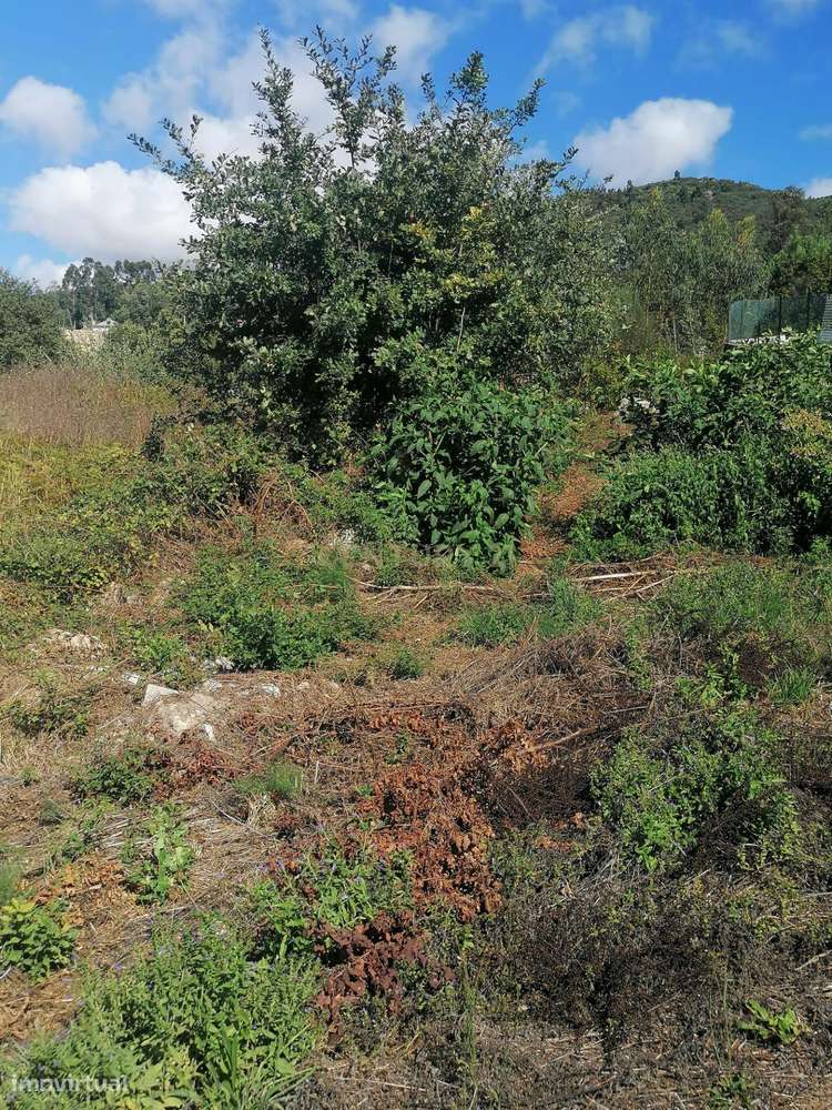 Terreno P/ZONA INDUSTRIAL  C/PROJECTO APROVADO em Geraz do Lima - Grande imagem: 5/18