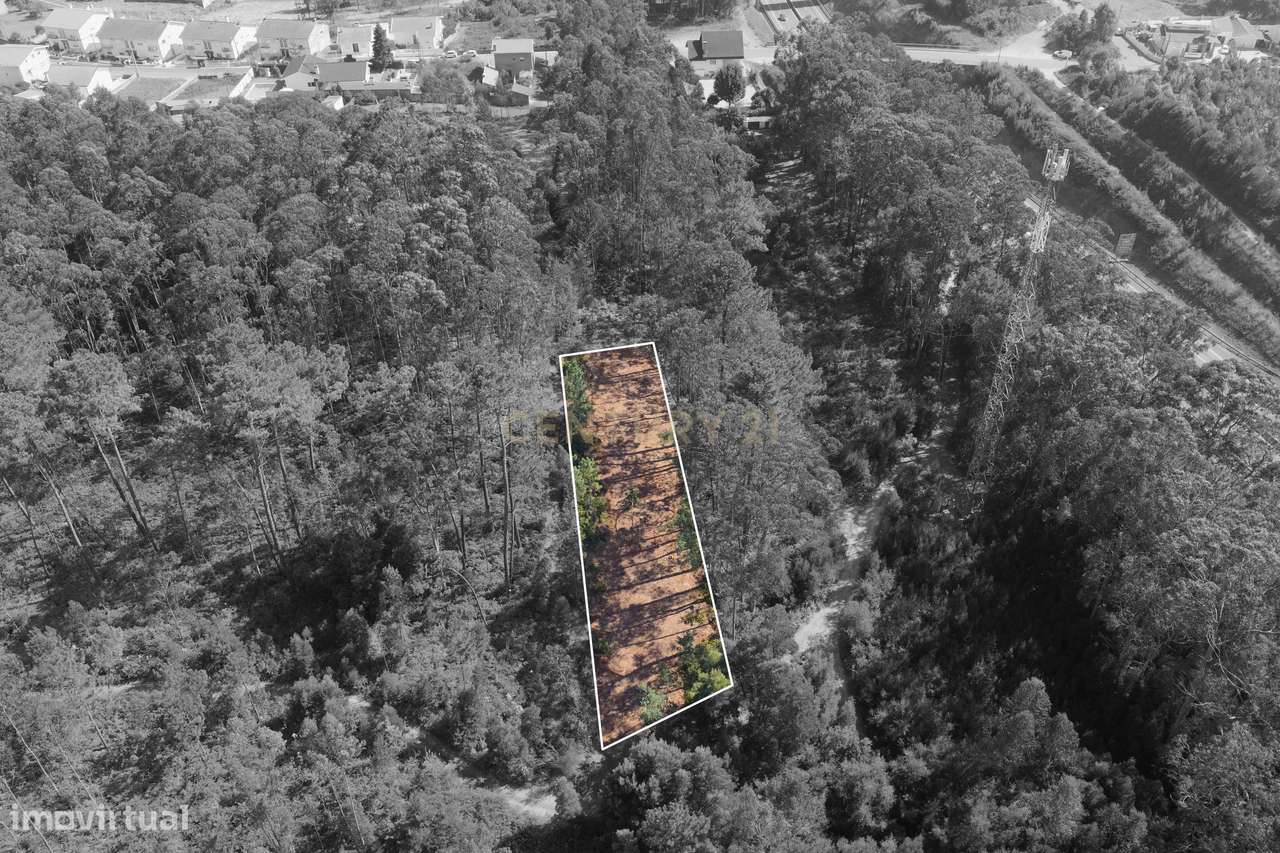 Terreno Espetacular em Aveiro, 1200m² por 15500€ - Grande imagem: 4/6