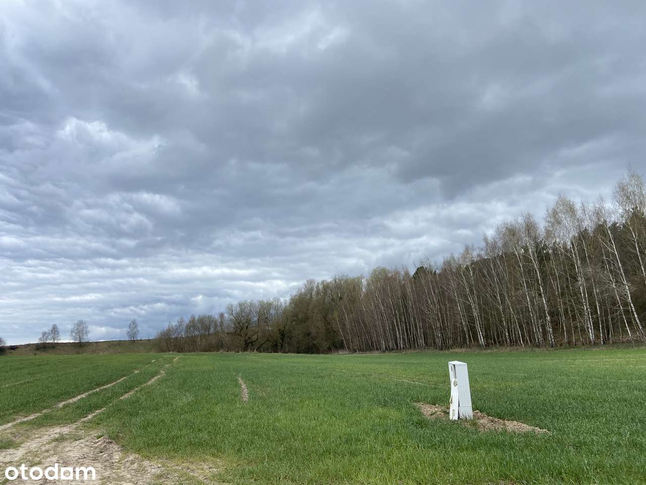 Dwie sąsiadujące działki budowlane w Szczótkach – Osówiec - Pełny obrazek: 4/4
