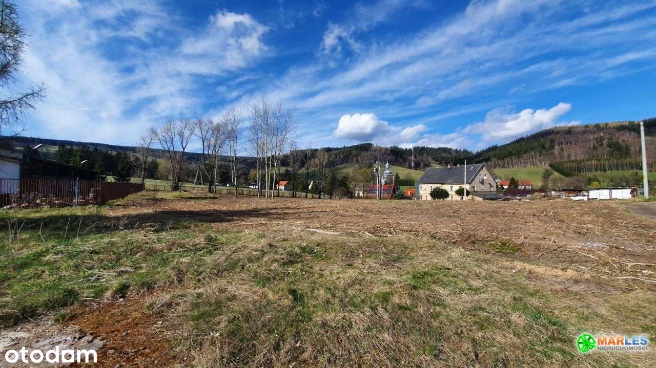 1,33Ha 5min drogi od węzła S3 Kamienna Góra cena b - Pełny obrazek: 5/10