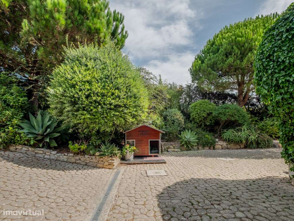 Vende Moradia T3, Ericeira 14 Km, A Casa das Casas-57