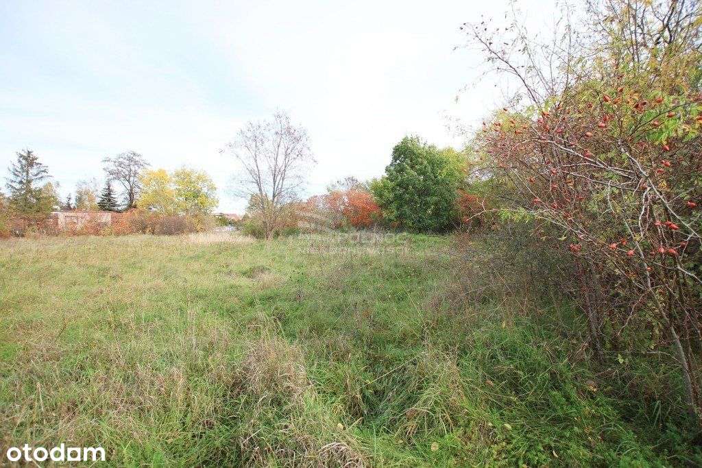 Działka budowlano- usługowa Wilczyn, gm. Grębocice - Pełny obrazek: 5/7