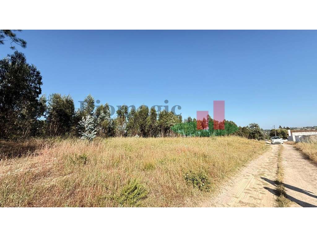 Terreno rústico Asseiceira***RIOMAGIC*** - Grande imagem: 5/30