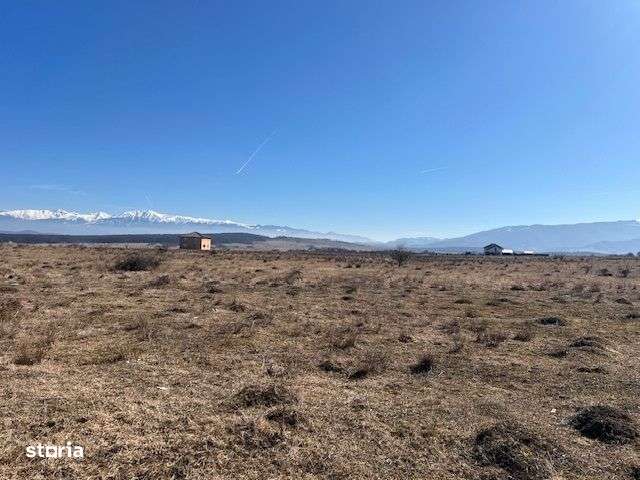 Teren intravilan 859 mp in Calea Cisnadiei, constructii case insiruite - Imagine principală: 4/6