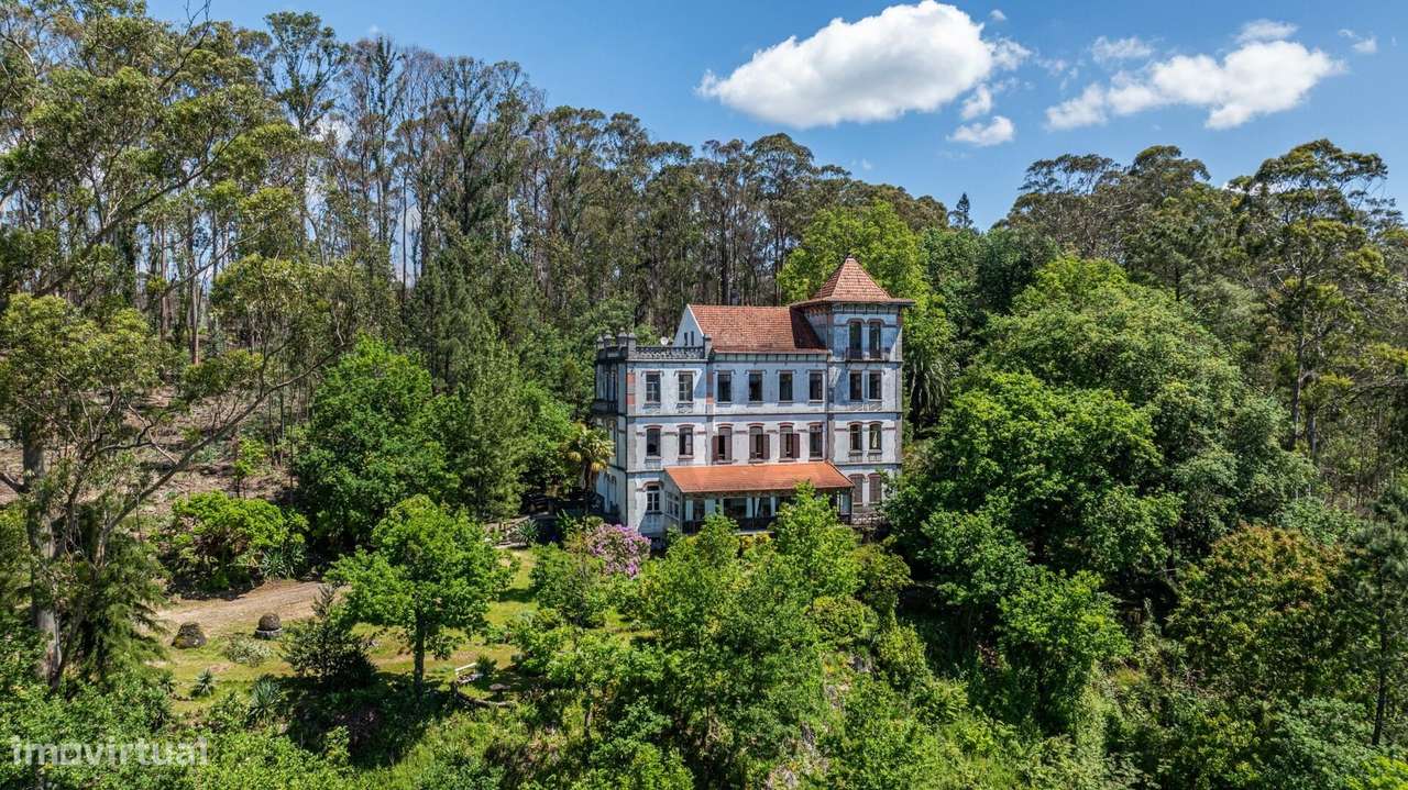 Quinta com Palacete e terreno de 50 ha em Seixoso - Felgueiras - Grande imagem: 3/59
