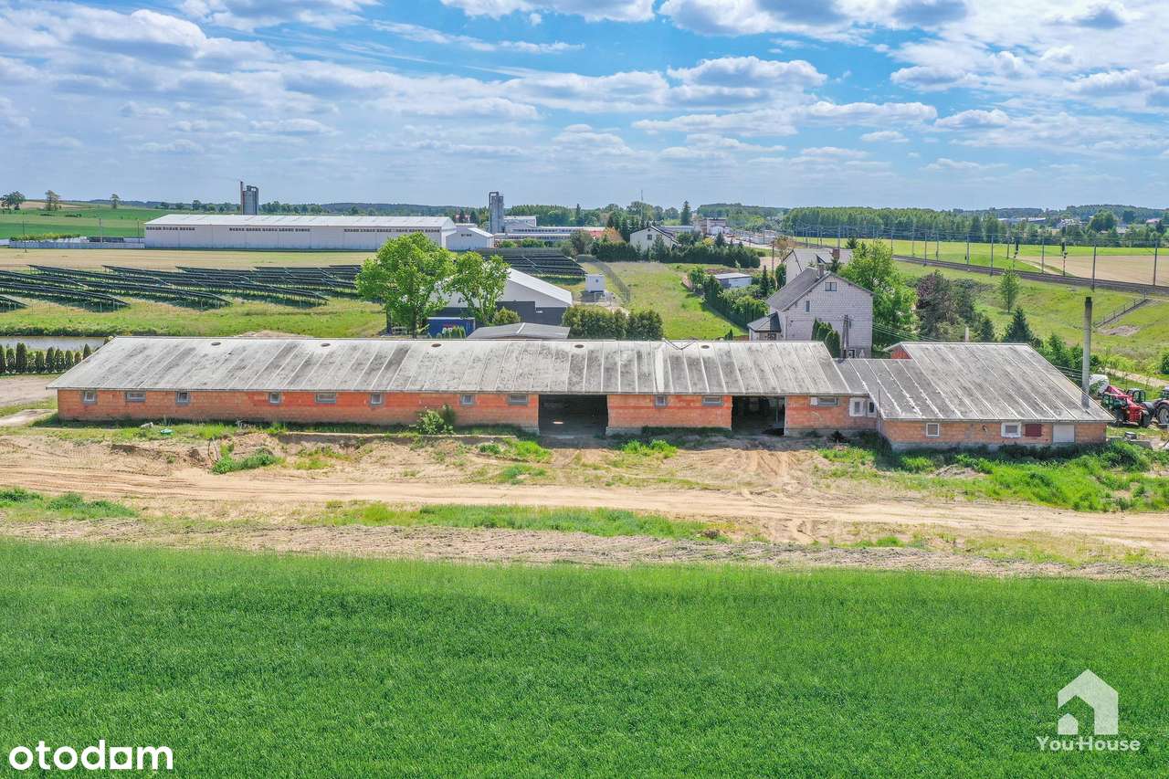 Magazyn pod działalność gospodarczą - 888 m2 - Pełny obrazek: 3/17