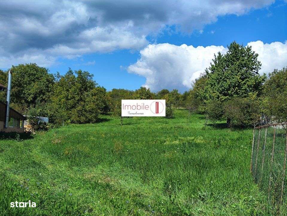 Vand teren | 4400 mp | Dambu Rotund-0