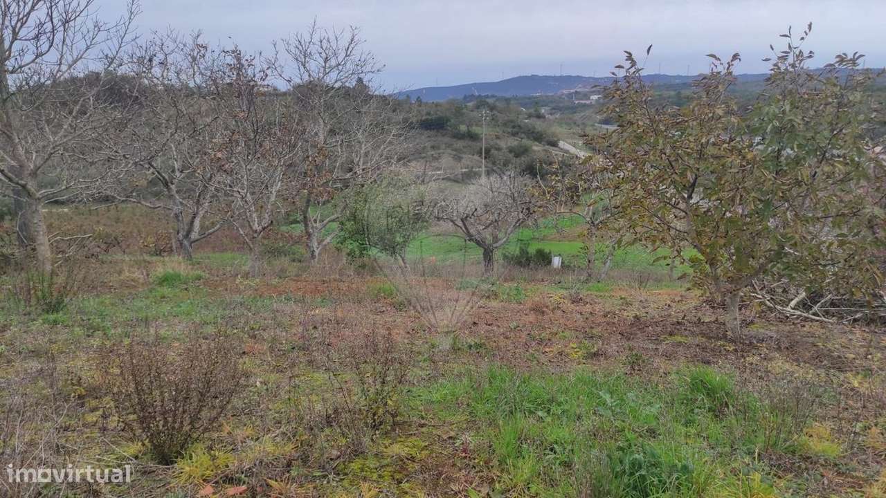 Terreno  para venda - Grande imagem: 4/5