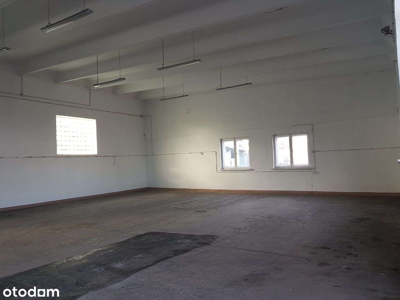 Hala Magazyn Rawicz-Sierakowo blisko drogi S5 - Pełny obrazek: 4/9