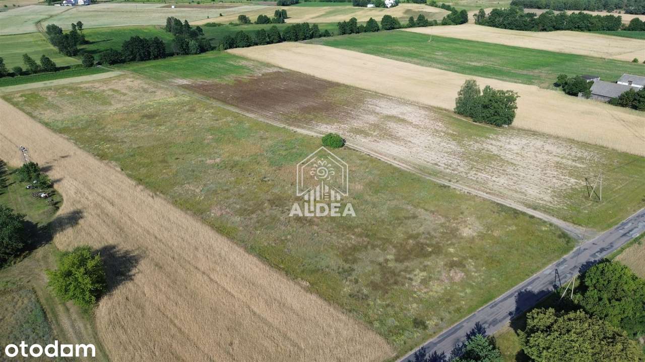 Twoje Własne Miejsce Między Toruniem a Bydgoszczą - Pełny obrazek: 3/5