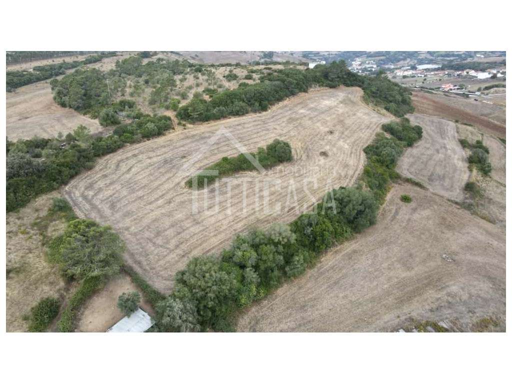 Terreno Rustico na Sobreira - Grande imagem: 4/16