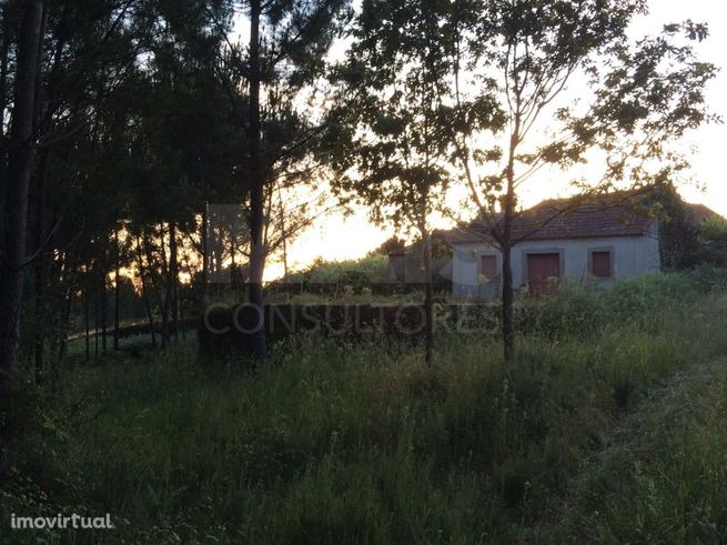 Muro De Pedra Calcária Cimentada Em Bruto. Com Um Fosso De Onde Caiu Uma  Pedra Imagem de Stock - Imagem de pavimentado, cascalho: 255251465