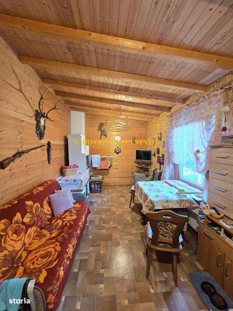 De vanare - Casa Dragomiresti Vale-19